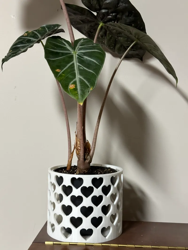 Decorative vase