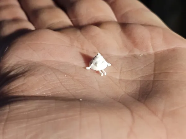 https://makerworld.bblmw.com/makerworld/model/US30b27ca01f75cd/design/2025-02-19_d803bfa31cfdf.jpeg