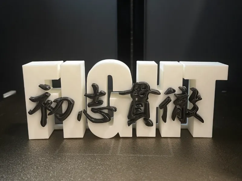 Japanese Kanji Art (Syosikantetu)