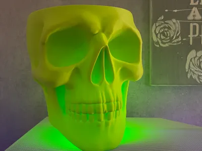 Skull Candy Bowl
