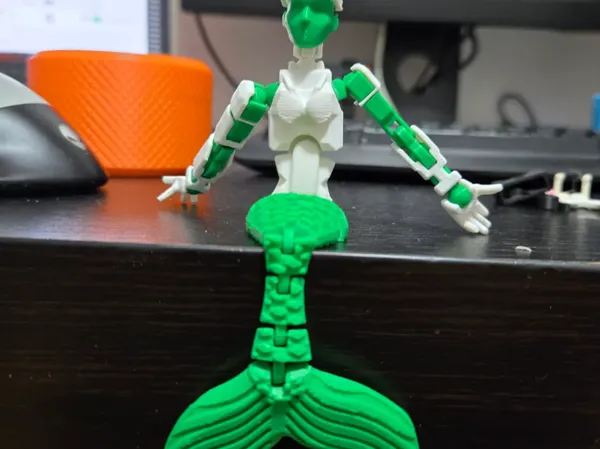https://makerworld.bblmw.com/makerworld/model/US30be5f70ce9685/design/2025-02-23_0eafc7d29ea06.webp