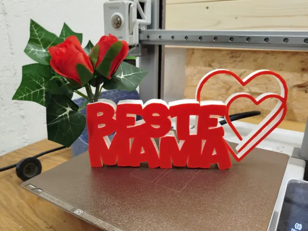 https://makerworld.bblmw.com/makerworld/model/US30c47da3e1debe/design/2025-04-06_86fa860f0564c.jpg