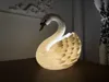Swan_Body_LED Kit