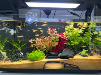 复古电话亭鱼虾躲避屋造景摆件