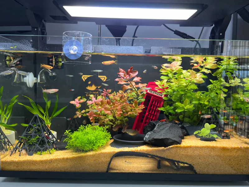 复古电话亭鱼虾躲避屋造景摆件