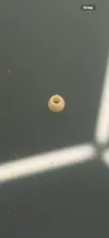 0.1mm layer, 2 walls, 18% infill