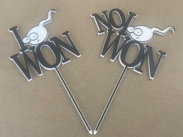 https://makerworld.bblmw.com/makerworld/model/US30cd9e55446d08/design/2025-11-02_cec56c015bb9b.jpg