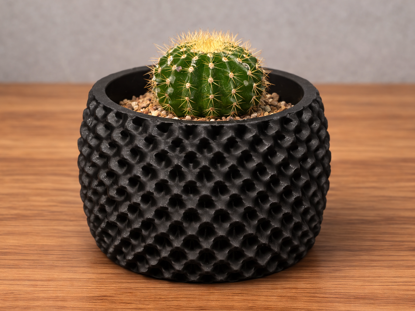 Bubble Planter - Vase with Organic Texture