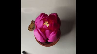 Ne Zha inspired water activated blooming Lotus