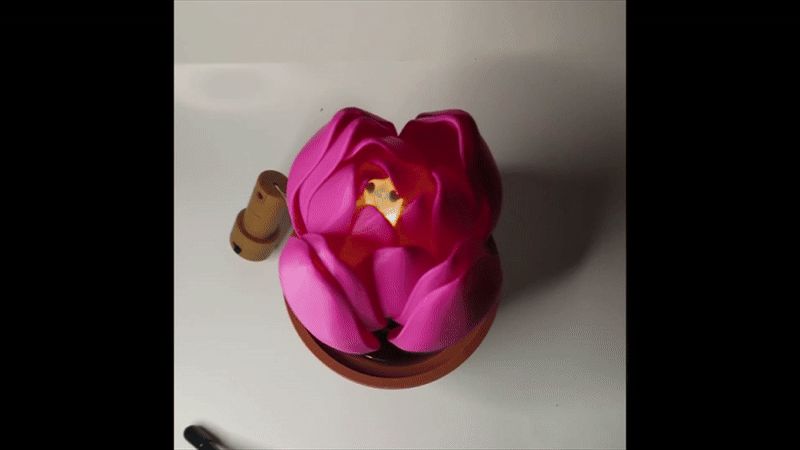 Ne Zha inspired water activated blooming Lotus
