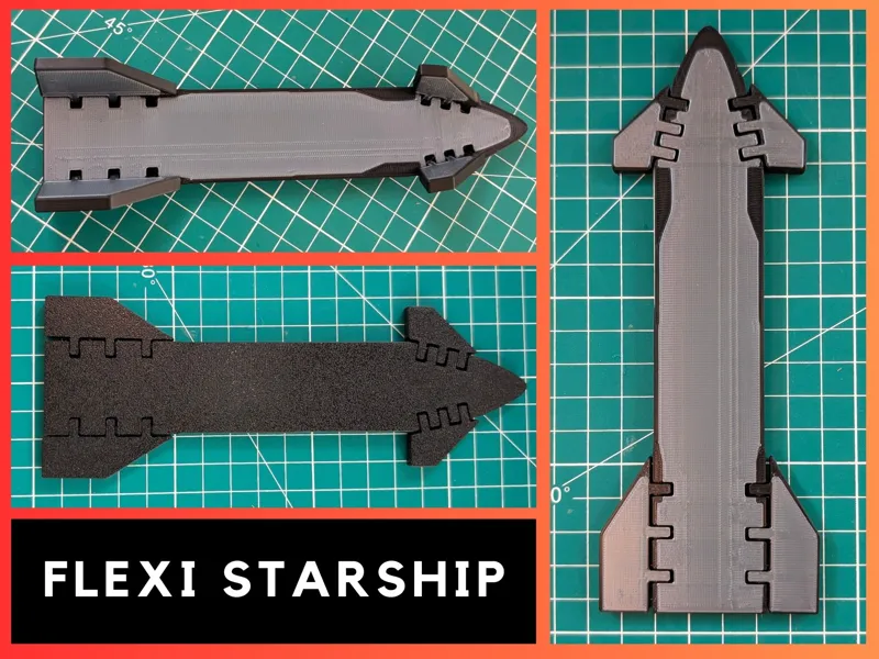 FLEXI STARSHIP
