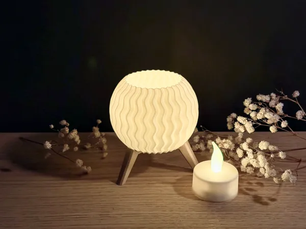 https://makerworld.bblmw.com/makerworld/model/US30d8d9f8505462/design/2025-01-28_fe88a432d77db8.jpeg