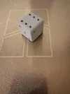 Weighted die