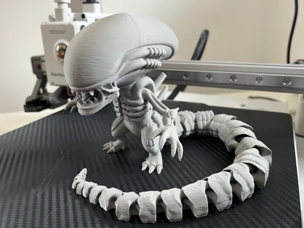 https://makerworld.bblmw.com/makerworld/model/US30e631abc6d564/design/6f5a5b7cd65416dd.jpeg