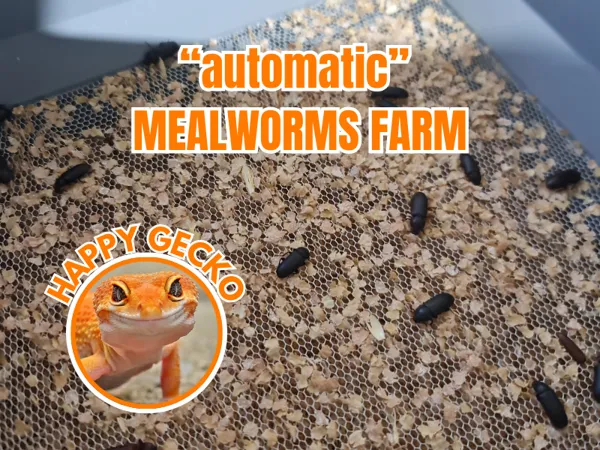 https://makerworld.bblmw.com/makerworld/model/US30e671951f00f5/design/2024-05-15_6c132607ba337.png