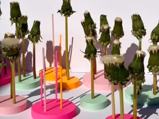Ständer für Pusteblumen