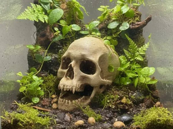 https://makerworld.bblmw.com/makerworld/model/US30ed400513c7ff/design/7bd9e427ad94ca93.jpg