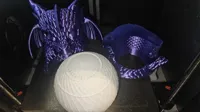 0.2mm layer, 2 walls, 5% infill gyroid