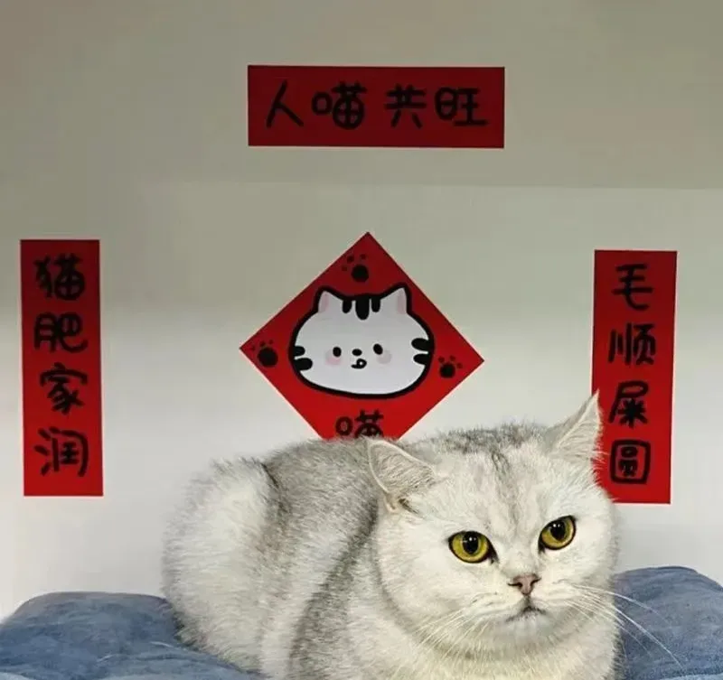 新春喵喵春联《猫猫也要过大年！》