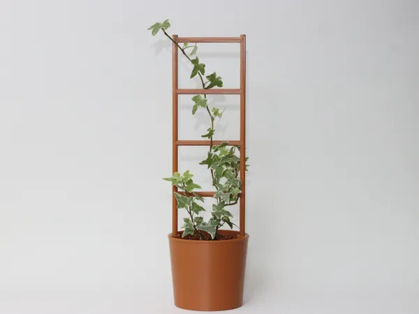 https://makerworld.bblmw.com/makerworld/model/US30f1e9b8281e0b/design/85bb5db47d6d30ec.jpg