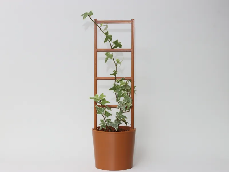 4" Sleeve Pot With Trellis