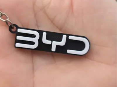 BYD Keychain