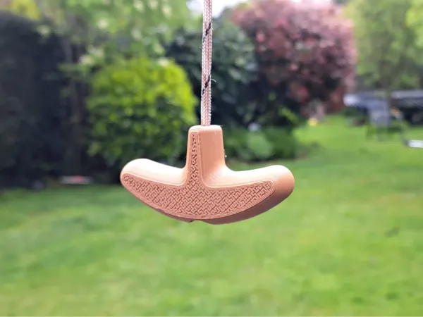 https://makerworld.bblmw.com/makerworld/model/US30f6dcba919d51/design/2024-08-09_9366e33e466fd.webp