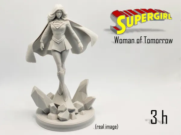 https://makerworld.bblmw.com/makerworld/model/US30f8735b1cdcac/design/2025-11-10_23f7c65c502cc8.jpg