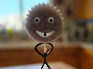 Fancy Scrub Daddy Sponge Holder