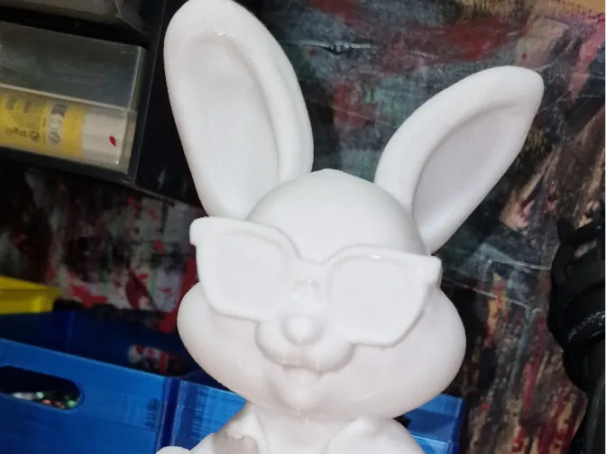 Cool Bunny