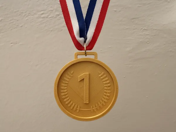https://makerworld.bblmw.com/makerworld/model/US310b5b84ef8317/design/2025-11-01_18d6ff5897a39.png