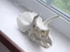 0.1mm layer, 2 walls, 12% infill