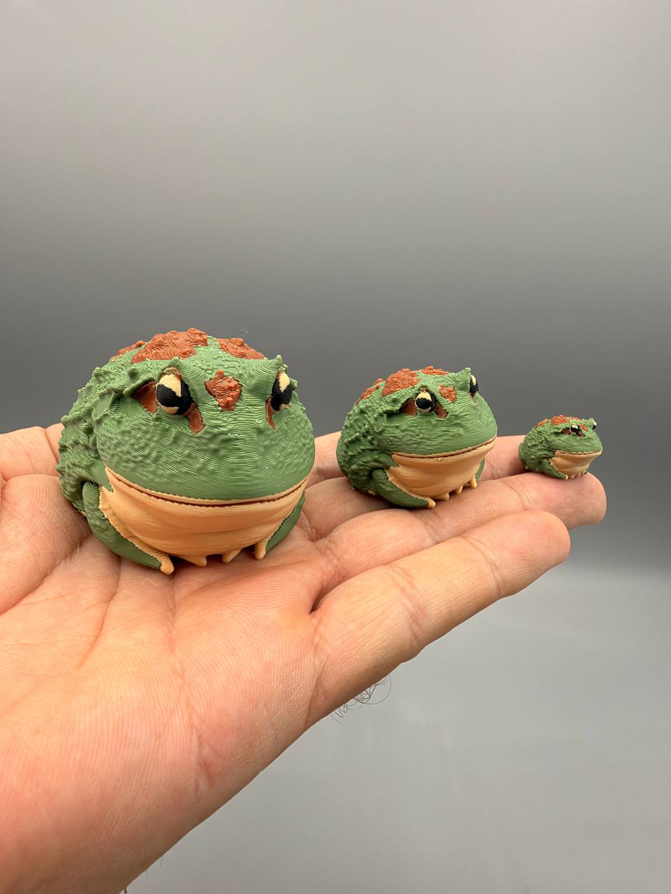 Horned Frog - 1