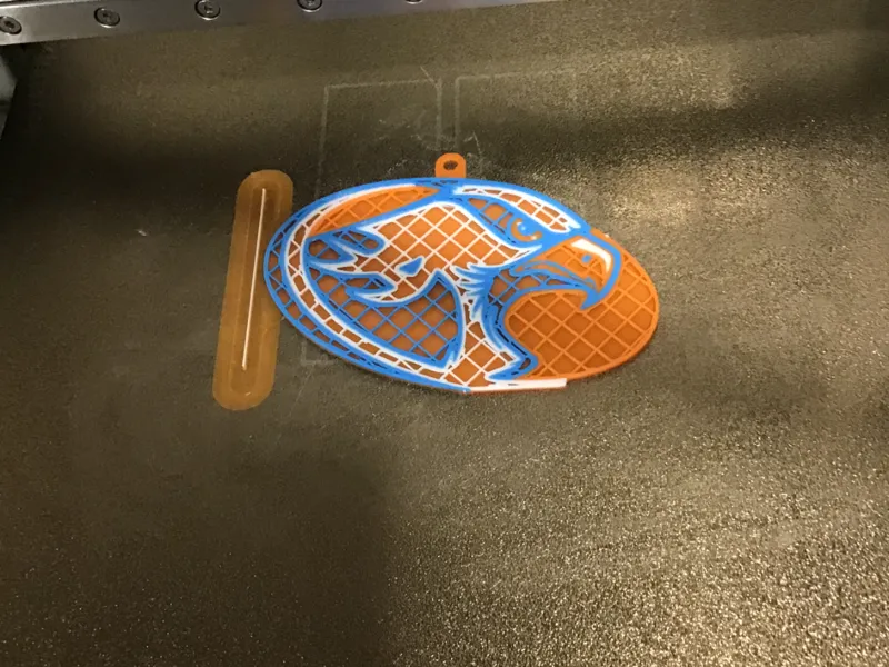 armstrong river hawks keychain