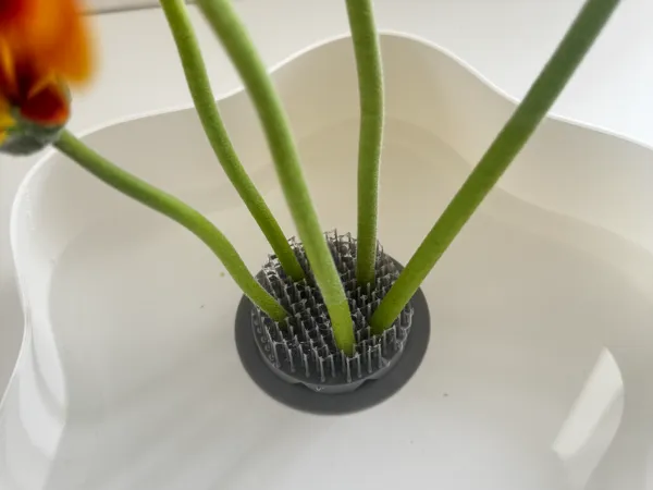 https://makerworld.bblmw.com/makerworld/model/US310e24a5734dfc/design/df78f43a1ae4281f.jpeg