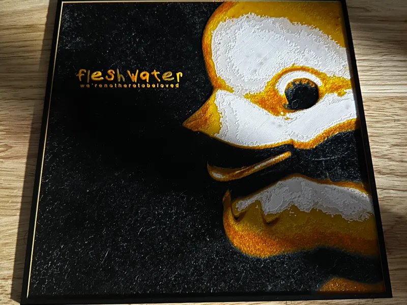 Fleshwater Duck - Were not here to be loved