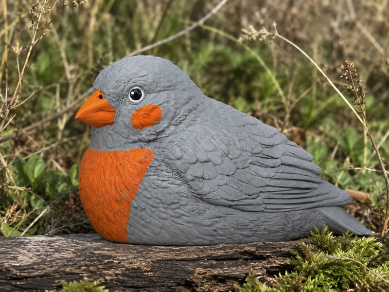 Realistic Finch Wildlife Bird
