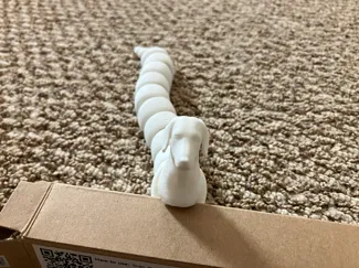 Hot Dog Dog