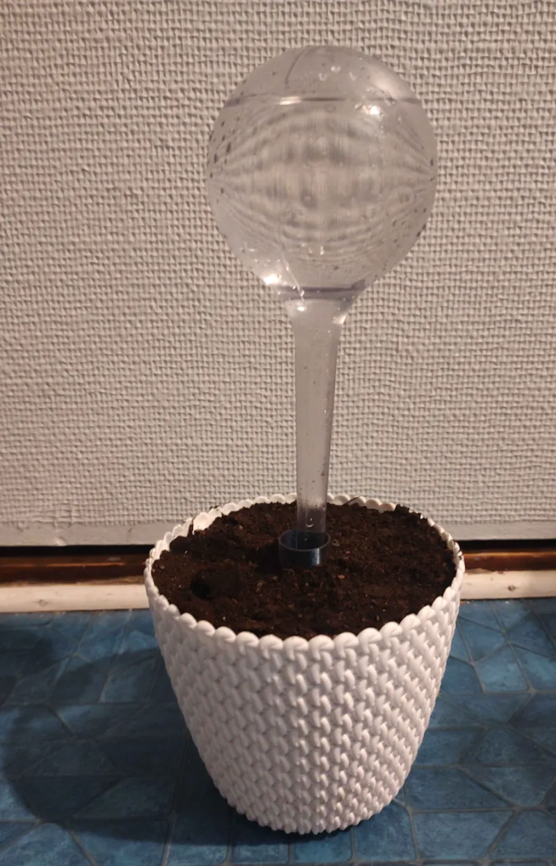 Irrigation bulb holder (water bulb for plants)