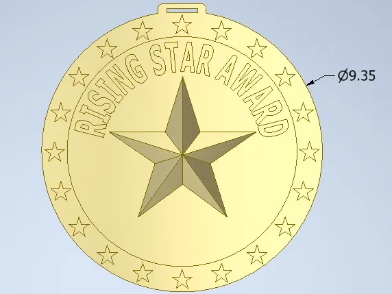 RISING STAR MEDAL AWARD CUSTOMIZABLE