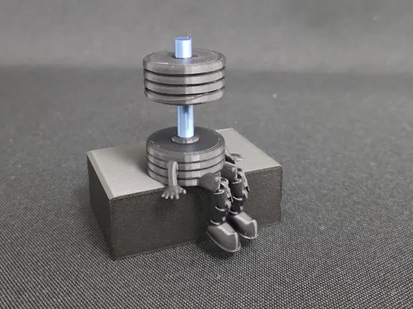 https://makerworld.bblmw.com/makerworld/model/US31191d563fd6d4/design/2025-04-11_a29d713741a2d8.jpg
