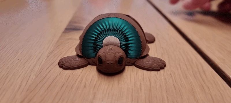 Kiwi Turtle – Articulated flexi Companion