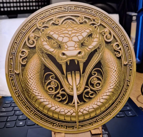 https://makerworld.bblmw.com/makerworld/model/US311d95f790d987/design/2025-01-02_999608893dacc.jpg