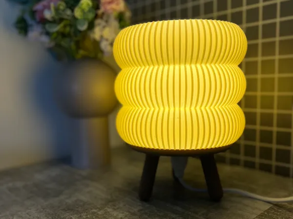 https://makerworld.bblmw.com/makerworld/model/US311eb069d0de92/design/2025-02-19_35bfe538a9d038.jpeg