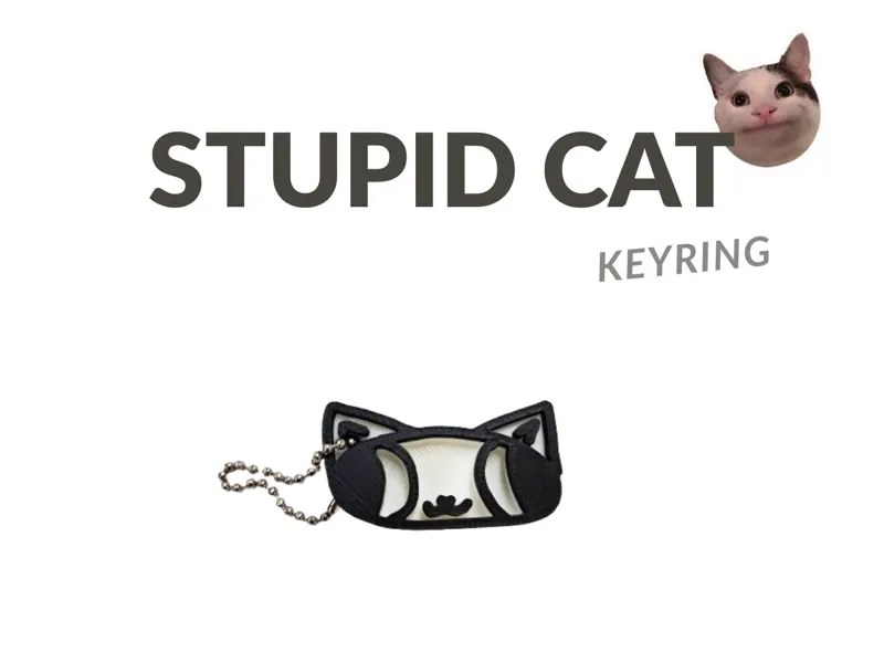 STUPID CAT KEYRING