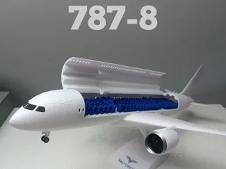 Beoing 787-8 model (interior included)