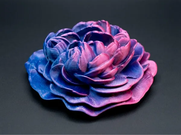 https://makerworld.bblmw.com/makerworld/model/US3129e12d6837d2/design/508370e37a715adb.jpg