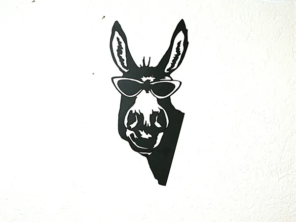 Âne décontracté — décoration murale