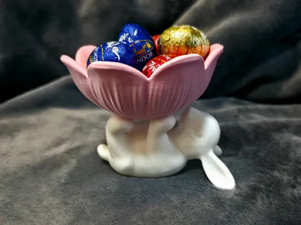 https://makerworld.bblmw.com/makerworld/model/US312f62fb1a012c/design/241682665ce59f53.jpg