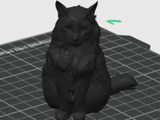 Sitting Cat